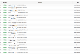 强引蜘蛛更新说明